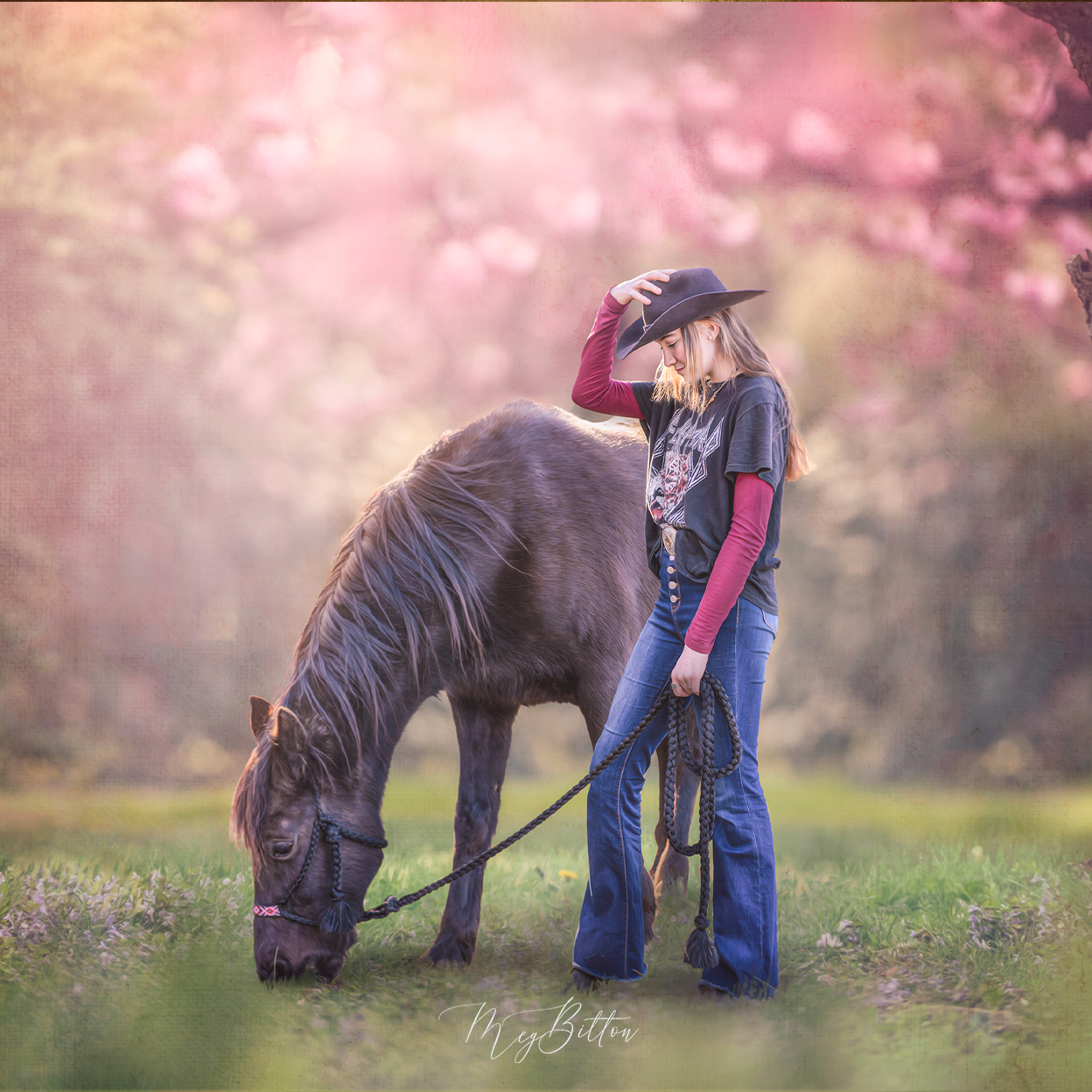 Color Toning Technique Fundamentals - Meg Bitton Productions