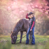 Color Toning Technique Fundamentals - Meg Bitton Productions