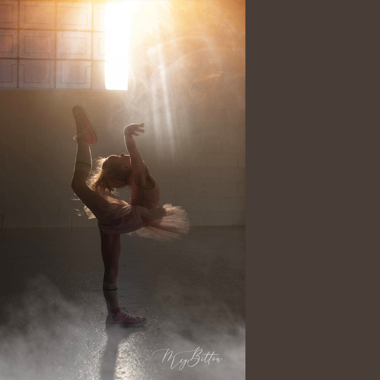 Foundations of Finding Light - February 2022 - Meg Bitton Productions