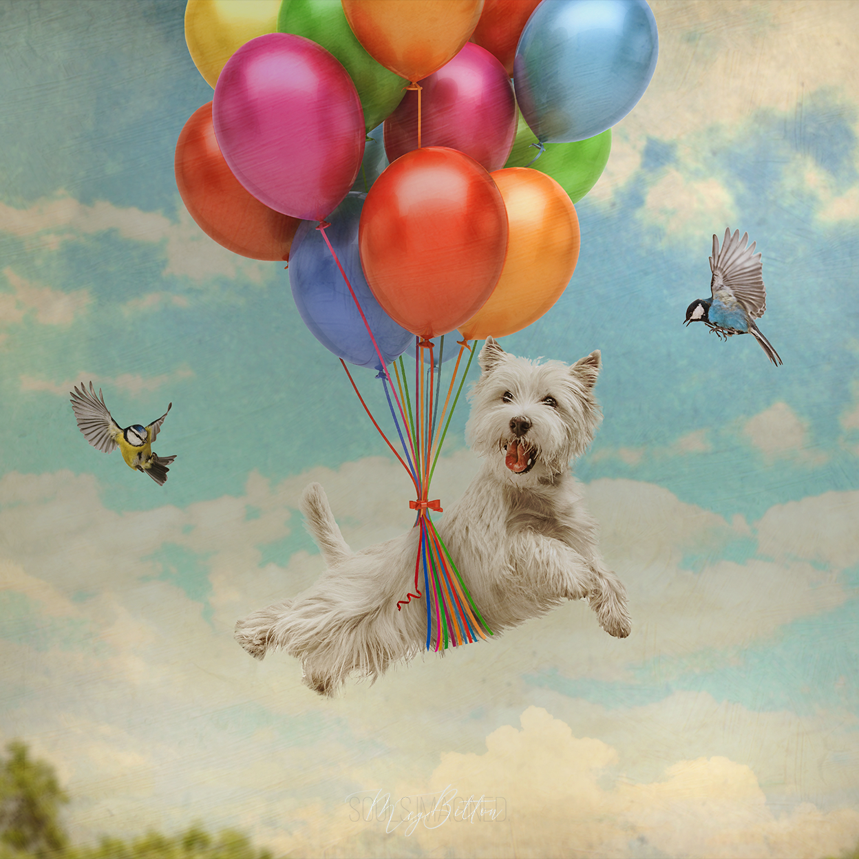 Fine Art Pet Composite Fundamentals - Meg Bitton Productions