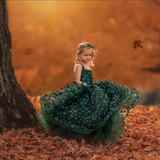 Warm Fall Colors Fundamentals - Meg Bitton Productions