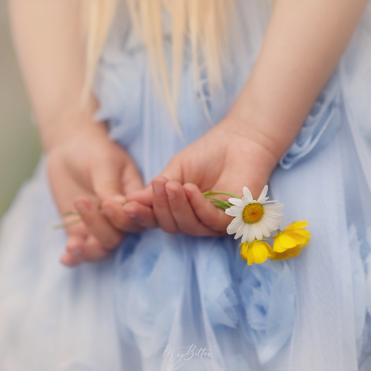 Donation Digital Image Download-Flower Girl - Meg Bitton Productions