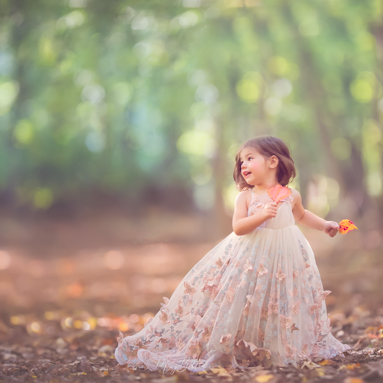 The Science of Photography: Color Temperature and White Balance - Meg Bitton Productions