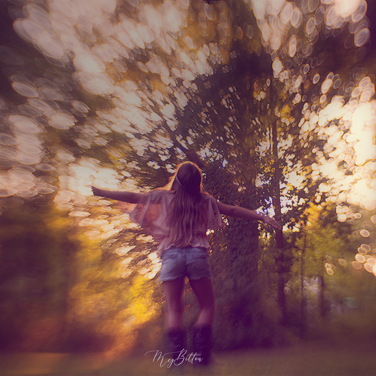 The Science of Photography: Lens Theory - Meg Bitton Productions