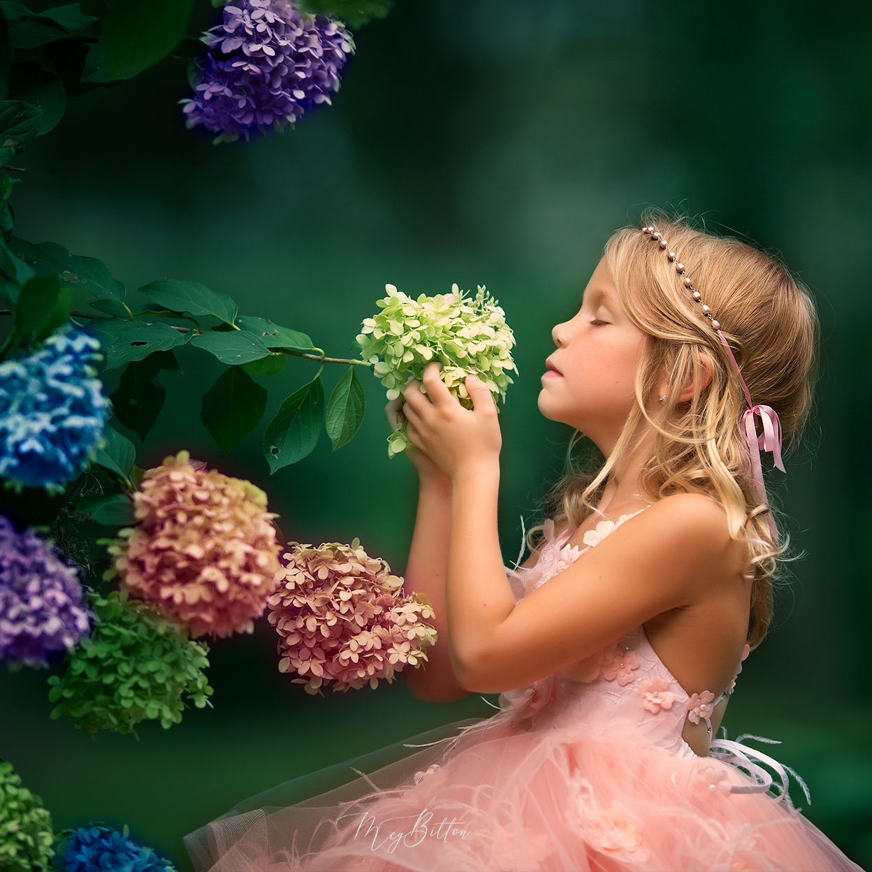 The Science of Photography: Resolution & Image Size - Meg Bitton Productions