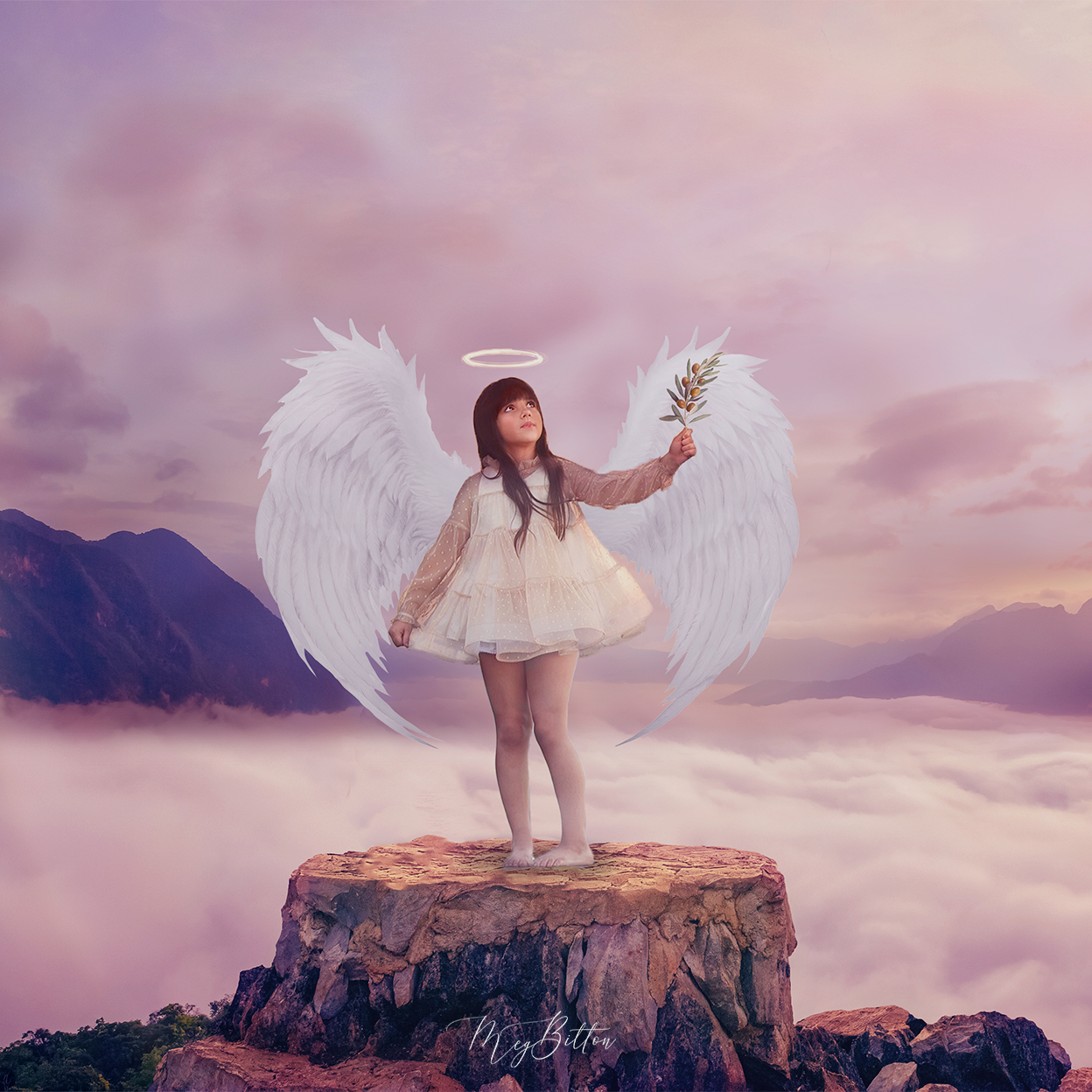 The Heavenly Kit - Meg Bitton Productions