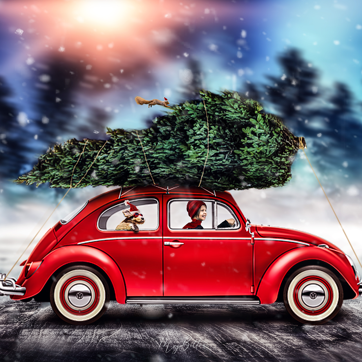 Digital Background: Christmas Adventures - Meg Bitton Productions