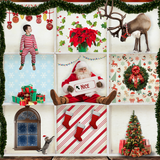 All the Christmas Boxes - Meg Bitton Productions