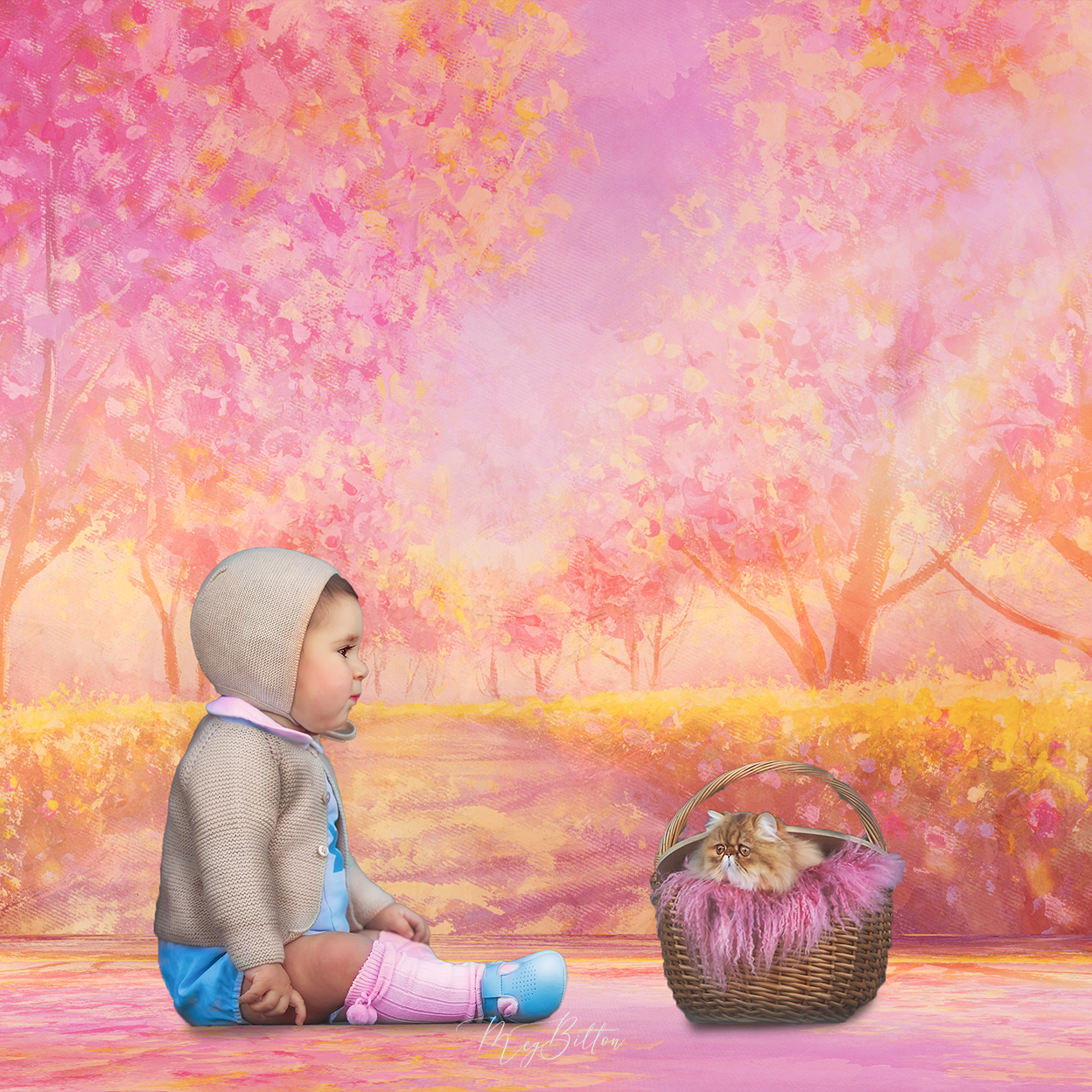 Digital Studio Backdrop: Sunset Stroll - Meg Bitton Productions