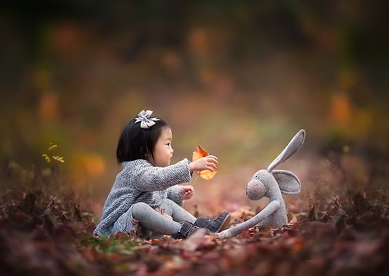 Magic in the Forest - Meg Bitton Productions