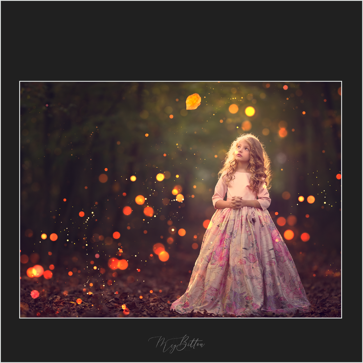 Magical Autumn Bokeh - Meg Bitton Productions