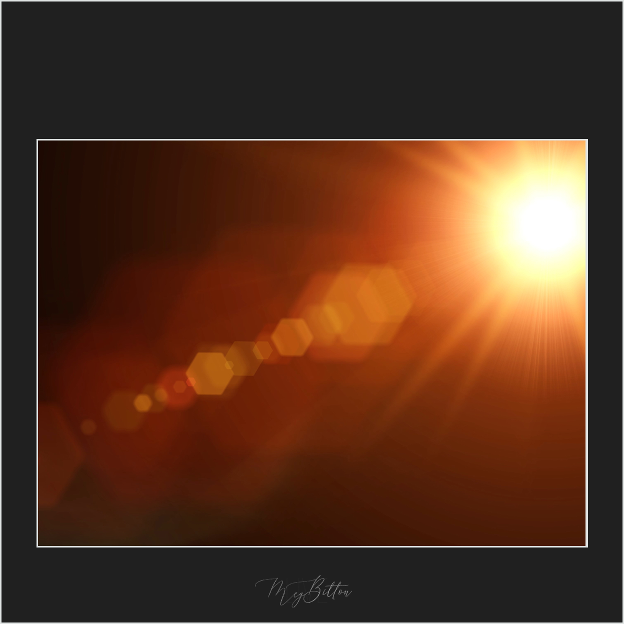 Magical Autumn Light Flare - Meg Bitton Productions