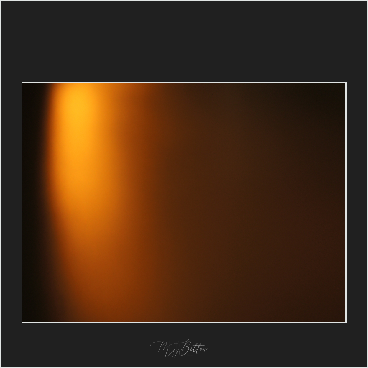 Magical Autumn Light Leak - Meg Bitton Productions