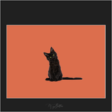 Magical Black Cat - Meg Bitton Productions