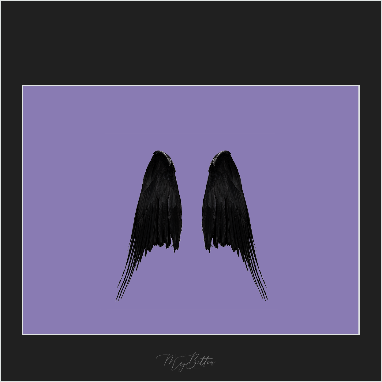 Magical Black Wings Overlay - Meg Bitton Productions