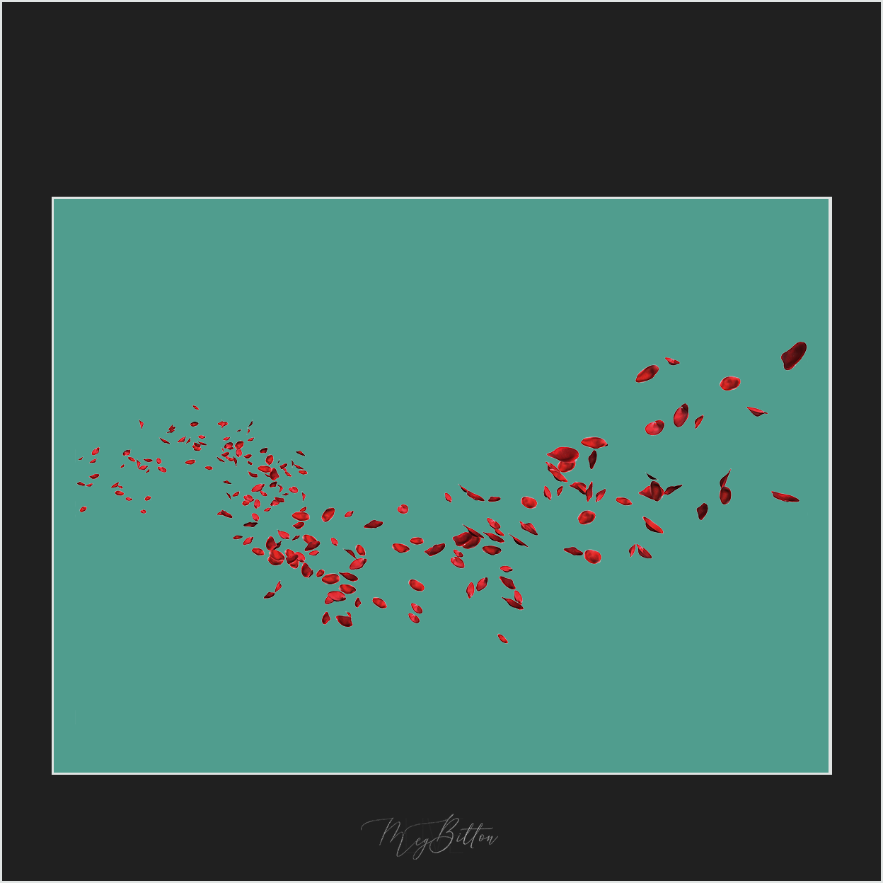 Magical Blowing Red Petals - Meg Bitton Productions