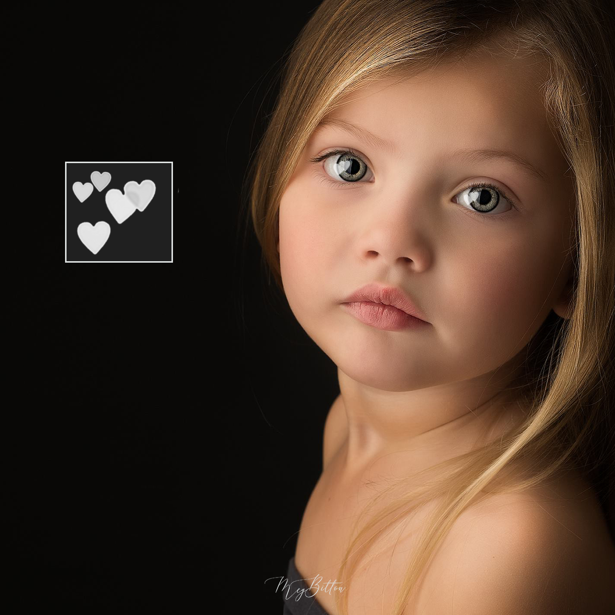 Heart Catchlights Brushes - Meg Bitton Productions