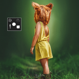 Painterly Brushes - Meg Bitton Productions