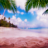 Magical Bundle of Beach Digital Products - Meg Bitton Productions