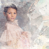 Magical Double Exposure Kit - Meg Bitton Productions