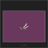 Magical Dragonfly Overlay - Meg Bitton Productions