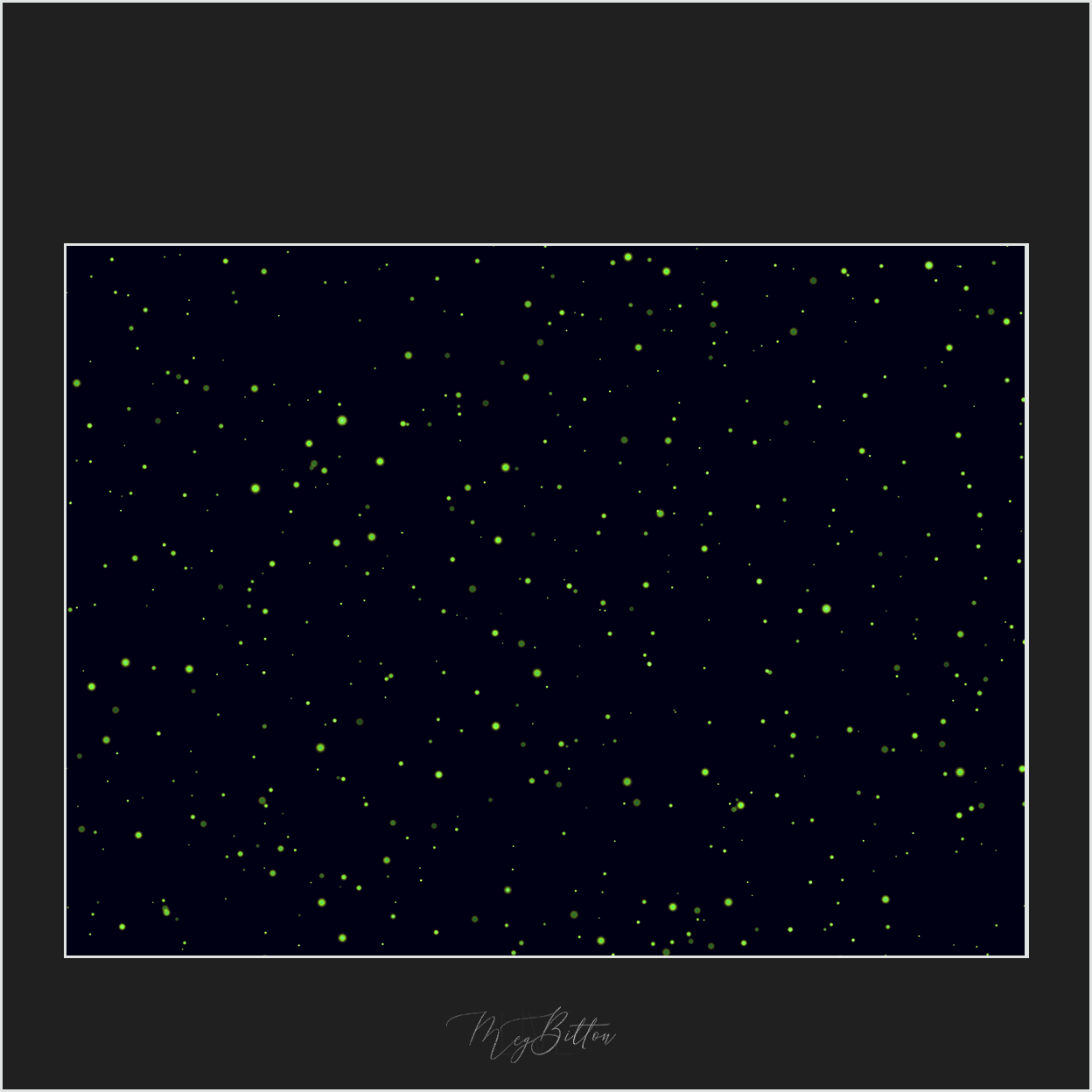 Magical Fireflies Overlay - Meg Bitton Productions