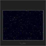 Magical Fireflies Overlay - Meg Bitton Productions