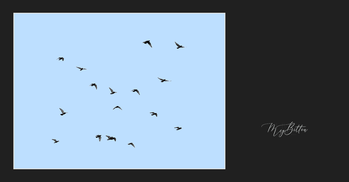 Magical Flying Birds Overlay - Meg Bitton Productions