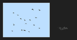 Magical Flying Birds Overlay - Meg Bitton Productions