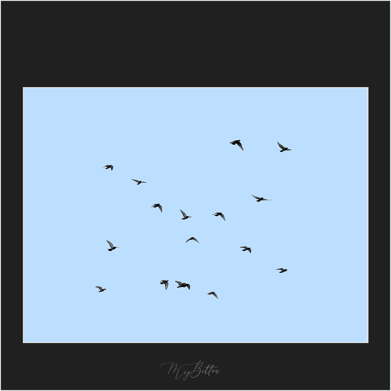 Magical Flying Birds Overlay - Meg Bitton Productions