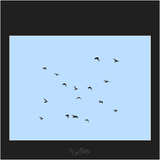 Magical Flying Birds Overlay - Meg Bitton Productions
