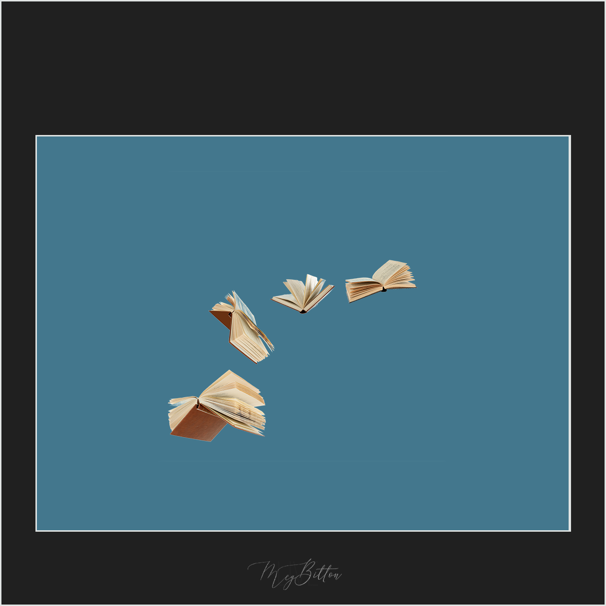 Magical Flying Books Overlay - Meg Bitton Productions