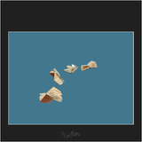 Magical Flying Books Overlay - Meg Bitton Productions