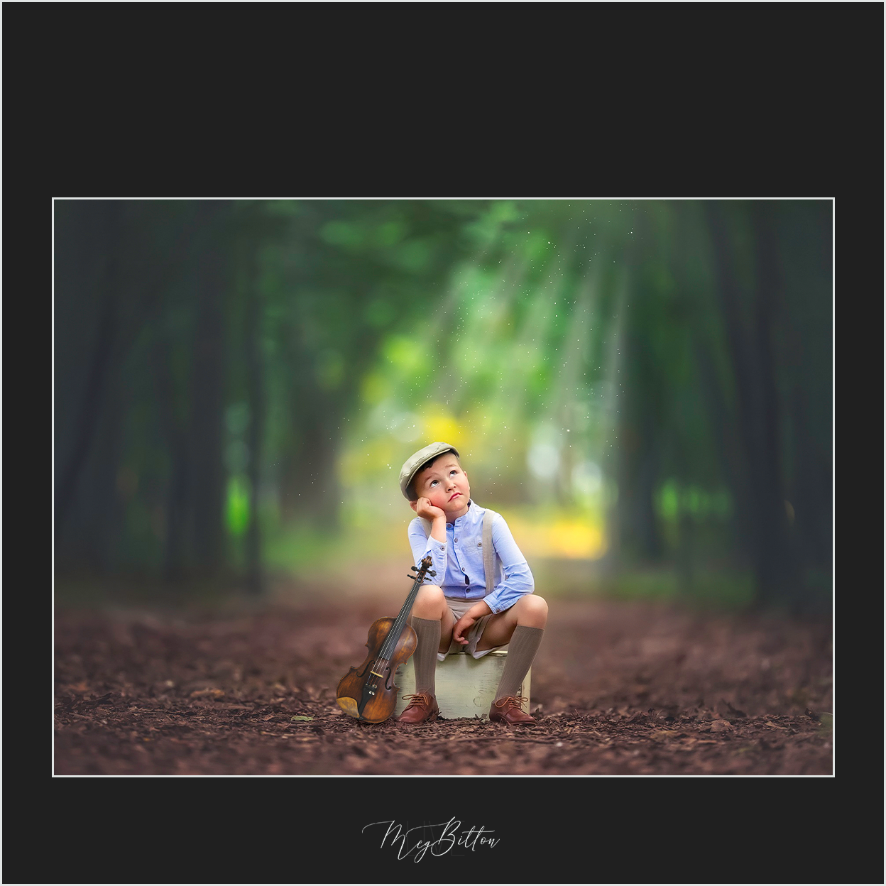 Magical Instruments - Meg Bitton Productions