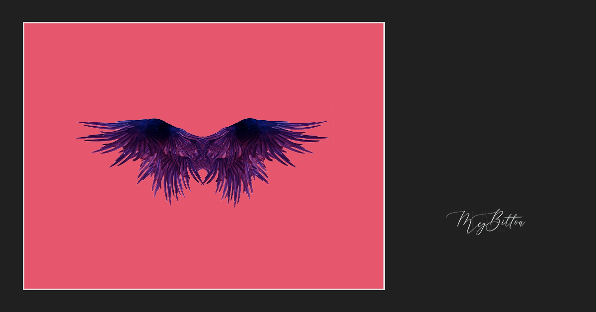 Magical Purple Wings Overlay - Meg Bitton Productions