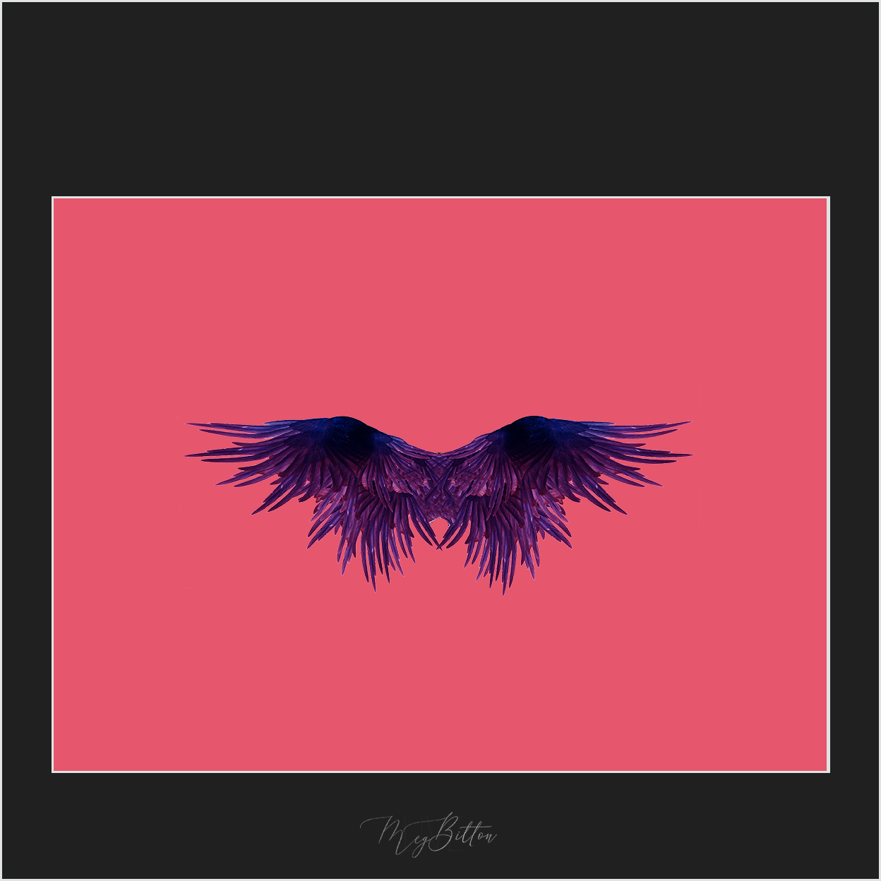 Magical Purple Wings Overlay - Meg Bitton Productions