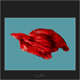 Magical Red Flowing Fabric - Meg Bitton Productions
