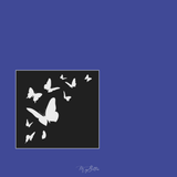 Magical Single Brush - Butterflies - Meg Bitton Productions