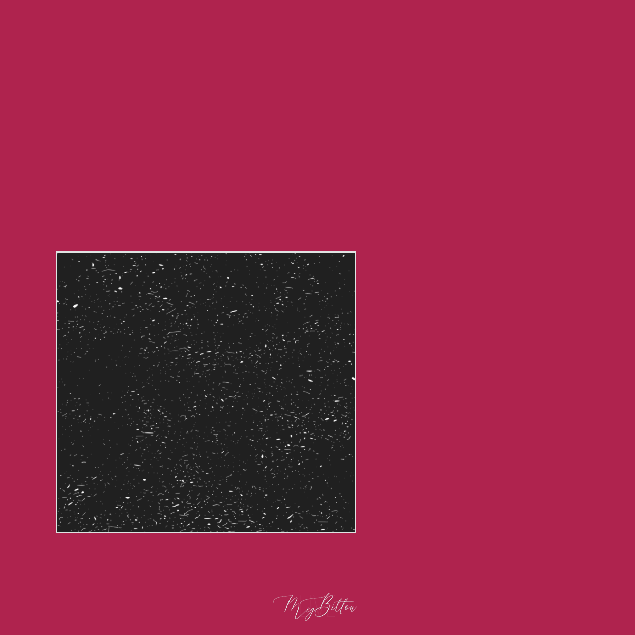 Magical Single Brush - Dust Particles - Meg Bitton Productions