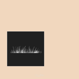 Magical Single Brush - Long Grass Strands - Meg Bitton Productions