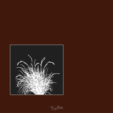 Magical Single Brush - Wild Grass Patch - Meg Bitton Productions