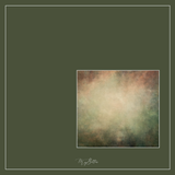 Magical Single Texture - Fine Art Grunge - Meg Bitton Productions