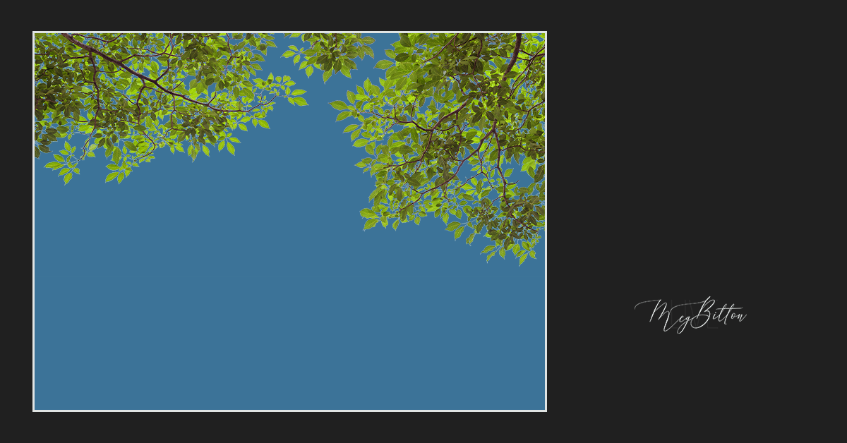 Magical Tree Branches Overlay - Meg Bitton Productions