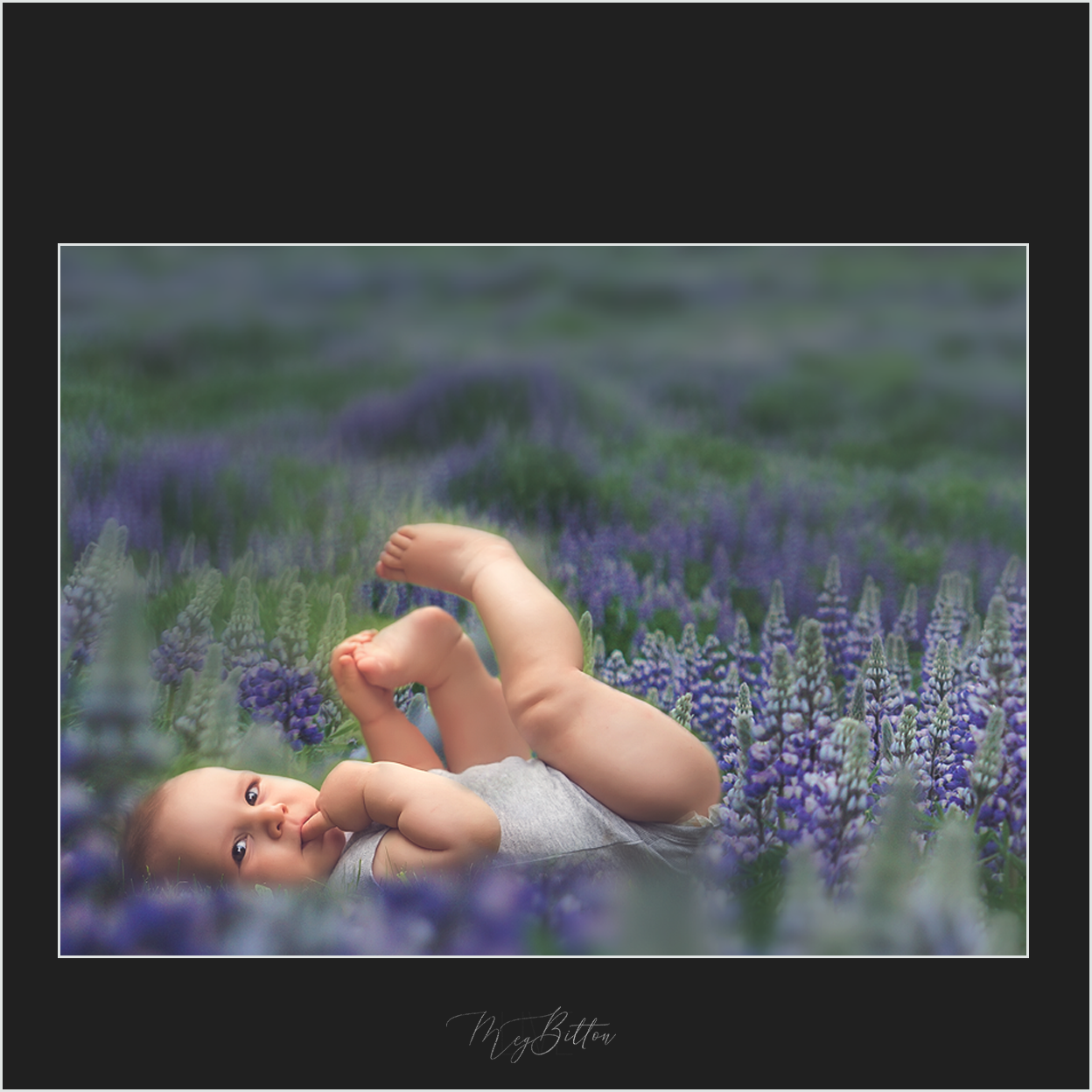 Magical Fields - Meg Bitton Productions