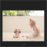 Magical Puppies - Meg Bitton Productions