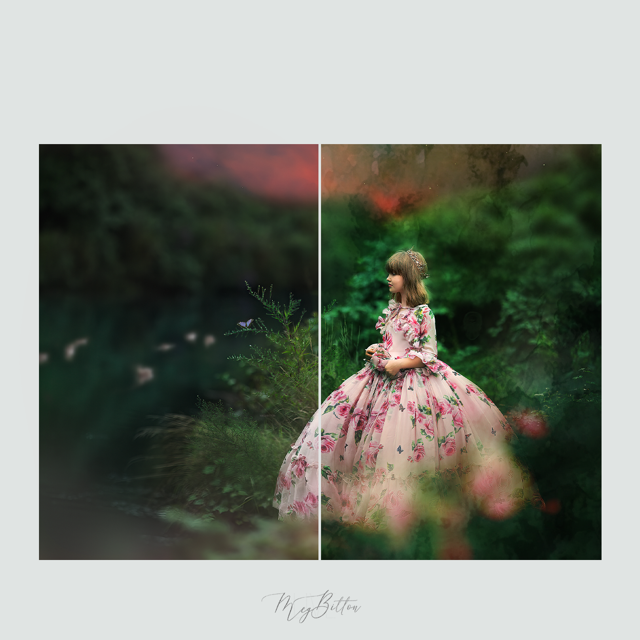 Magical Forest Watercolor Textures - Meg Bitton Productions