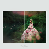 Magical Forest Watercolor Textures - Meg Bitton Productions