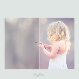 Magical Gauzy Textures - Meg Bitton Productions