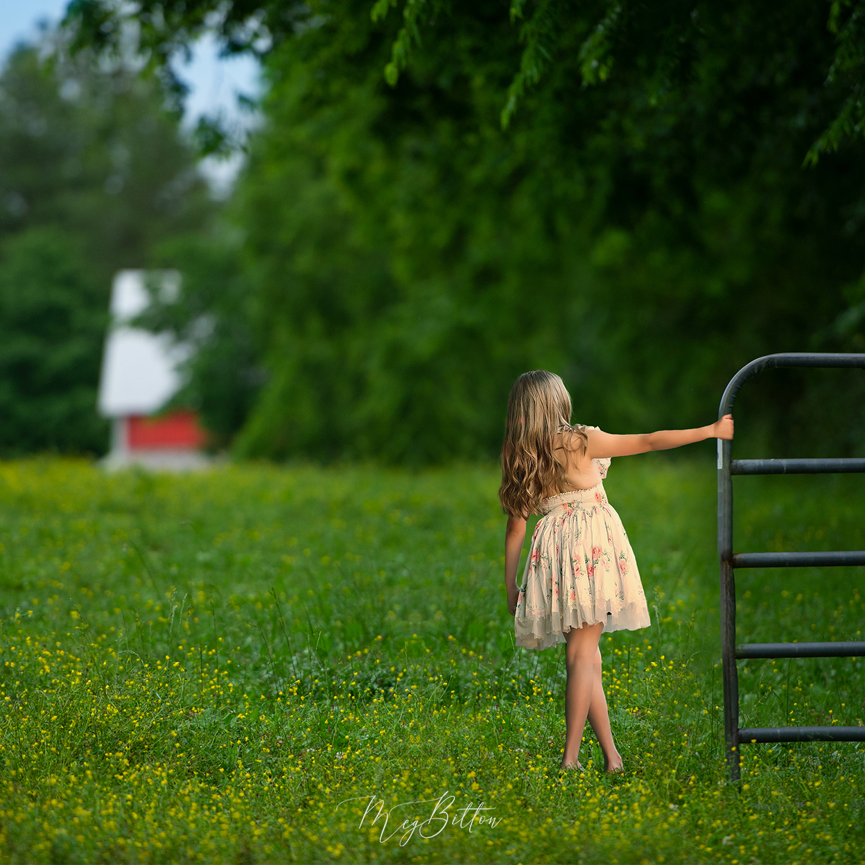 Simple Composite Creation - Blending Edges - Meg Bitton Productions