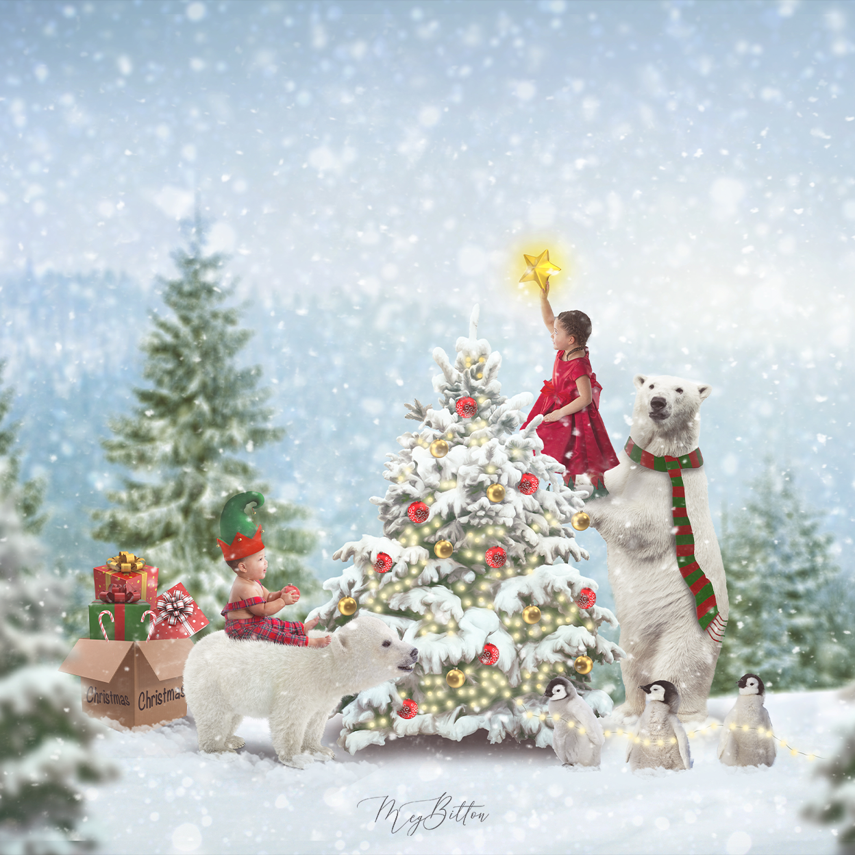 Forest Holiday - Meg Bitton Productions